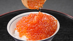 �C�N����